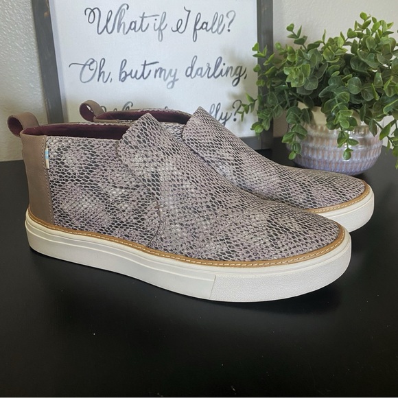 Toms / Paxton Sneaker - Picture 1 of 7